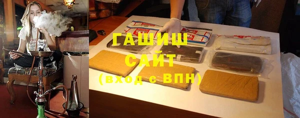 индика Бородино