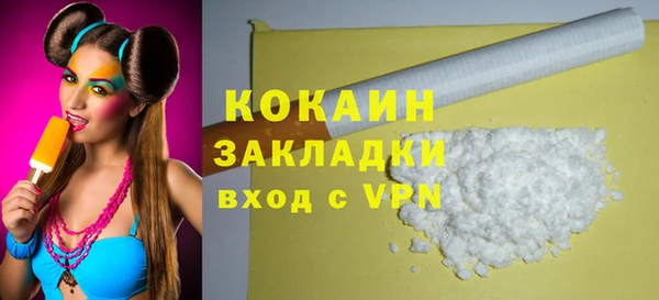 индика Бородино