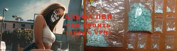 индика Бородино