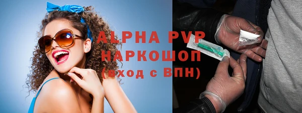 индика Бородино