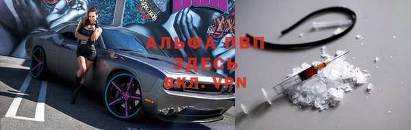 индика Бородино