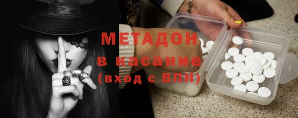 индика Бородино
