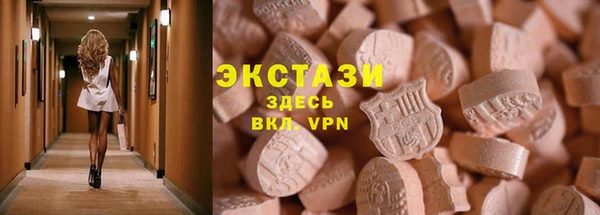 индика Бородино