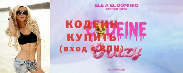 индика Бородино