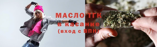 индика Бородино