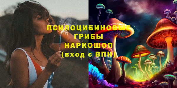 индика Бородино