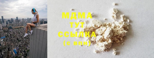 индика Бородино