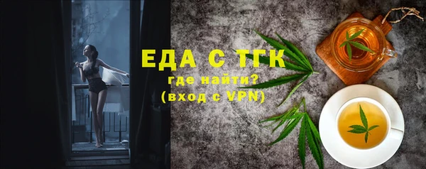 индика Бородино