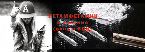индика Бородино