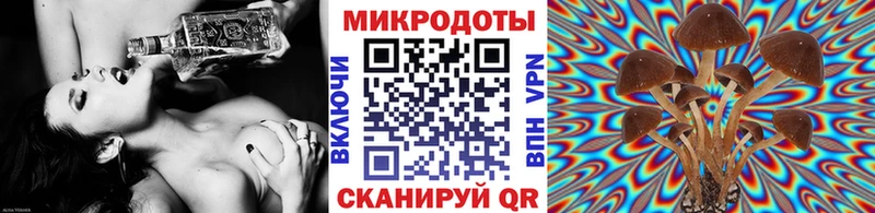 Псилоцибиновые грибы прущие грибы  mega онион  Данков 